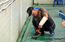 강호지락 > 태산낚시터 장어전용 하우스개장 : 낚시사랑