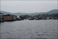 붕어도인 > 인기 좋은 아산 죽산낚시터 //붕어도인 : 낚시사랑