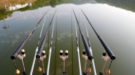 츄릅 > 안성 상지낚시터 호조황 소식을 전합니다 : 낚시사랑