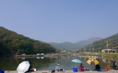 츄릅 > 광주 추곡낚시터 송어개장소식! : 낚시사랑