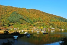 낚시사랑 > 춘천호 세월낚시터 : 낚시사랑