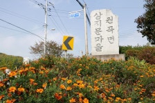 츄릅 > 안성 상지낚시터 늦가을 토종붕어 마릿수 배출 : 낚시사랑