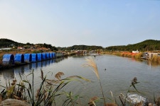 강호지락 > 내동지(내동낚시터) : 낚시사랑