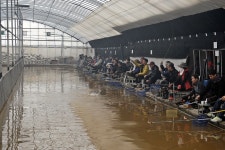 강호지락 > 봉림낚시터 : 낚시사랑