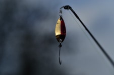 츄릅 > 유정낚시터 명실상부 최고의 송어낚시터를 소개합니다 : 낚시사랑