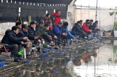 강호지락 > 고양 봉림낚시터 : 낚시사랑