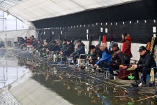 강호지락 > 고양 봉림낚시터 : 낚시사랑