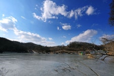 노아주 > 충북 음성 상곡낚시터 토종 대물붕어들의 봄 기지개! : 낚시사랑