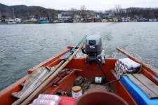 츄릅 > 송전지 송도좌대 초대박 호조황! : 낚시사랑