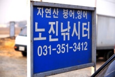 강호지락 > 노진낚시터 : 낚시사랑