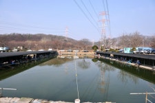 강호지락 > 봉림낚시터 : 낚시사랑