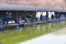 강호지락 > 봉림낚시터 : 낚시사랑