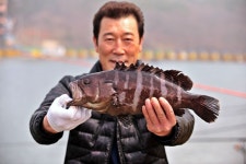 강호지락 > 서울바다낚시터 : 낚시사랑