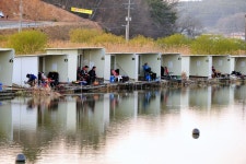 강호지락 > 내동낚시터 : 낚시사랑