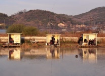 강호지락 > 내동낚시터 : 낚시사랑