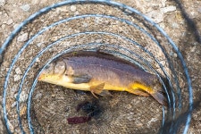 예담2 > 고산낚시터 : 낚시사랑