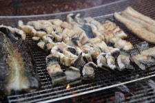 노아주 > 포천 수목원장어낚시터 : 낚시사랑