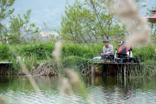 츄릅 > 평택 노양리 계양낚시터 : 낚시사랑