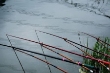 츄릅 > 평택 노양리 계양낚시터 : 낚시사랑