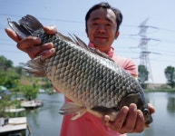 츄릅 > 평택 노양리 계양낚시터 : 낚시사랑