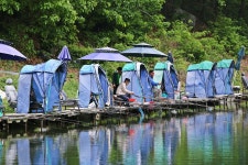 노아주 > 신기낚시터 용인의 명소 : 낚시사랑