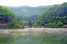 낚시사랑 > 양평 백동지 : 낚시사랑