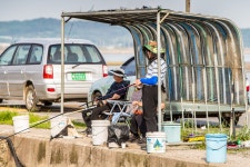 예담2 > 드디어 터지기 시작한 황산바다낚시터 : 낚시사랑
