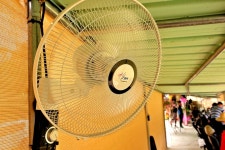 강호지락 > 새롭게 시작하는 향수 사계절낚시터 : 낚시사랑