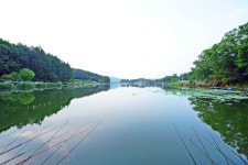 낚시사랑 > 여주 삼합지 : 낚시사랑