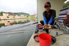 노아주 > 새로운 최고의 100% 붕어전용잡이터, 최고의 시설 명품낚시터, 300수 어망을 찾아서 : 낚시사랑