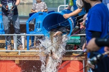예담2 > 황산바다좌대낚시터 개장이야기 : 낚시사랑