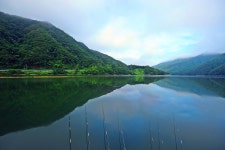 낚시사랑 > 춘천호 고탄낚시터 : 낚시사랑