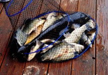 강호지락 > 편안한 휴식 힐링낚시터 : 낚시사랑