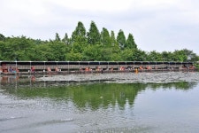 강호지락 > 당골낚시터 : 낚시사랑