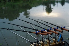 츄릅 > 경기도 평택 계양낚시터 : 낚시사랑