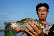 츄릅 > 경기도 평택 계양낚시터 : 낚시사랑