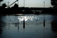 츄릅 > 경기도 평택 계양낚시터 : 낚시사랑