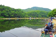 낚시사랑 > 제천 명암낚시터 : 낚시사랑