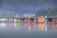 노아주 > 최고의 붕어전용잡이터 100~300수 어망, 52, 42, 등 초대형붕어 출현 다수 양평 대석낚시터 : 낚시사랑