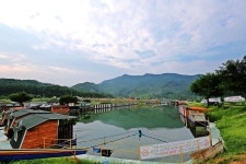 노아주 > 최고의 붕어전용잡이터 100~300수 어망, 52, 42, 등 초대형붕어 출현 다수 양평 대석낚시터 : 낚시사랑