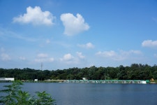 츄릅 > 경기도 화성 안석낚시터 : 낚시사랑