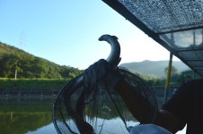 기파랑 > 안산 청곡낚시터 : 낚시사랑