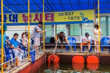 예담2 > 가족낚시의 새로운 기준 ~ 황산바다좌대낚시터 : 낚시사랑