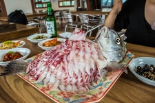 예담2 > 가족낚시의 새로운 기준 ~ 황산바다좌대낚시터 : 낚시사랑