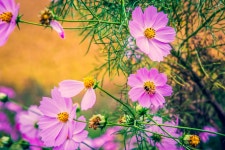 예담2 > 원주 이무기 낚시터 : 낚시사랑