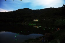 낚시사랑 > 당진 안국지 : 낚시사랑