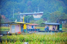 낚시사랑 > 의암호 광명낚시터 : 낚시사랑