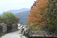 붕어도인 > 양주 기산낚시터 ~ : 낚시사랑