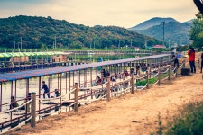 예담2 > 화성 어천낚시터 : 낚시사랑