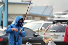 기파랑 > 인천 정성레져바다낚시터 : 낚시사랑